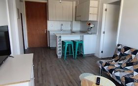 Comfortable&quiet apartment. Pelluco Alto
